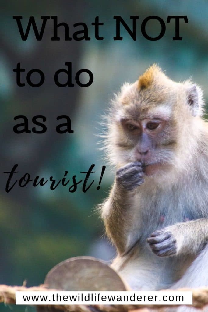 What not to do as a tourist towards animals 
